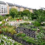 11545691785_229baaca80_b