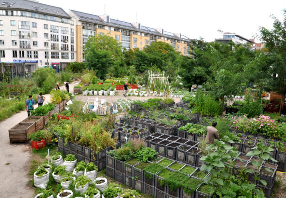 11545691785_229baaca80_b